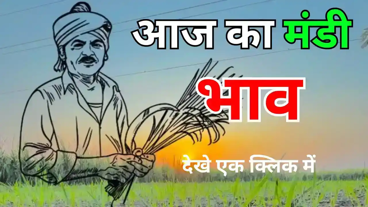Latest Indore Mandi Rate of Wheat and Soybean 18 April 2025