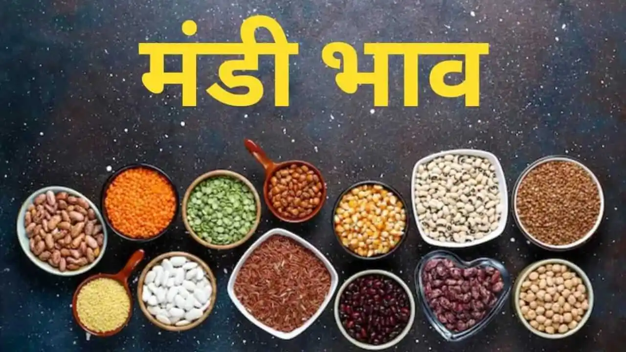 Mandi